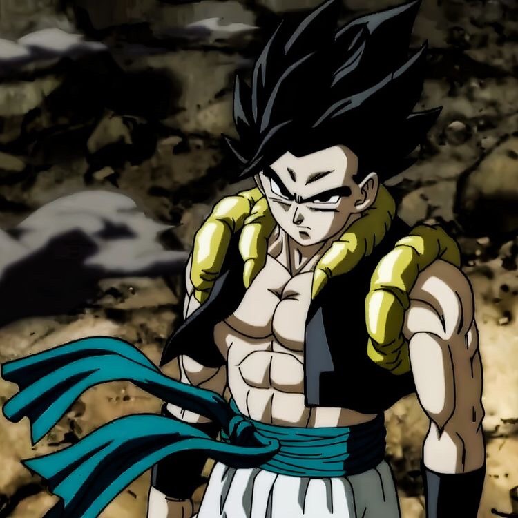 Does Gogeta Appear In Dragon Ball Super? (5 Points&nbsp;Explained)