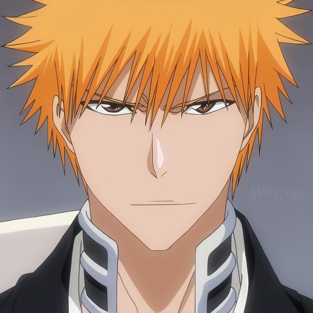 Bleach The Anime