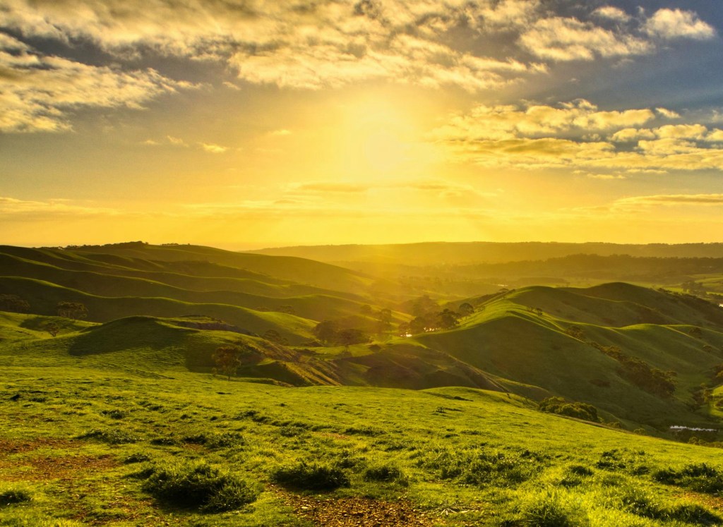 Why is Early Mornings Colder than Night? (Explained)